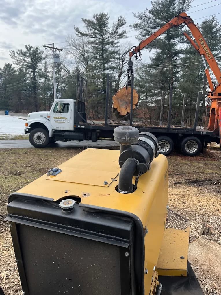 Professional arborists at work in Woburn MA