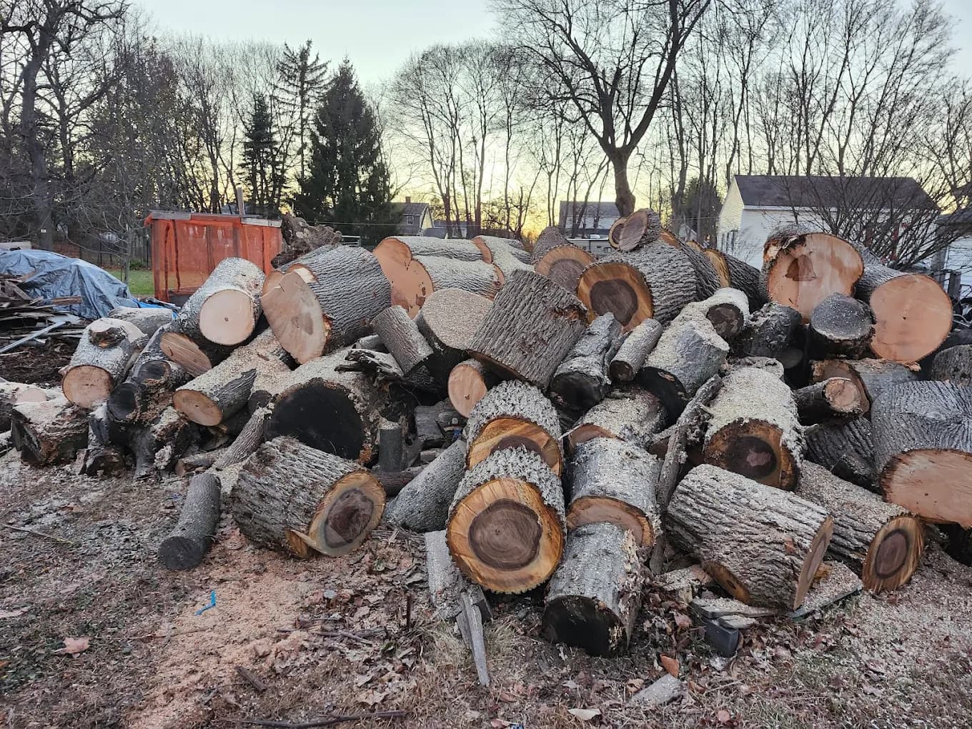 Tree removal equipment and pricing in Woburn MA