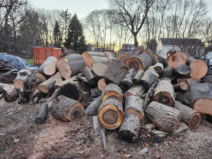 Tree removal equipment and pricing in Lowell MA