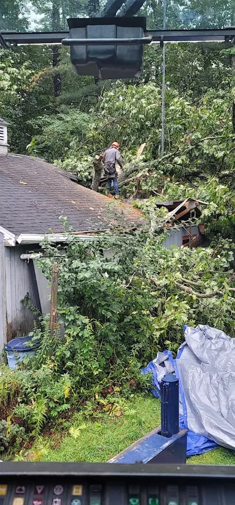 Emergency tree removal after storm in Woburn MA