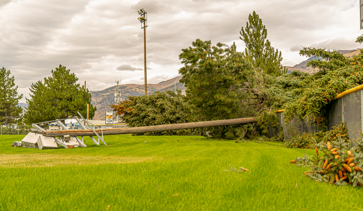 Fallen trees and damaged power infrastructure after a Massachusetts storm