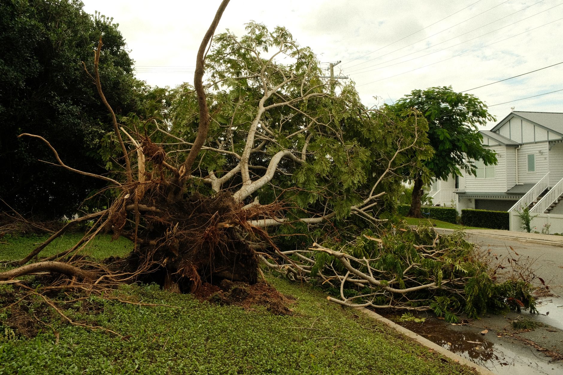 Large tree fallen onto a house roof after a storm in Massachusetts
