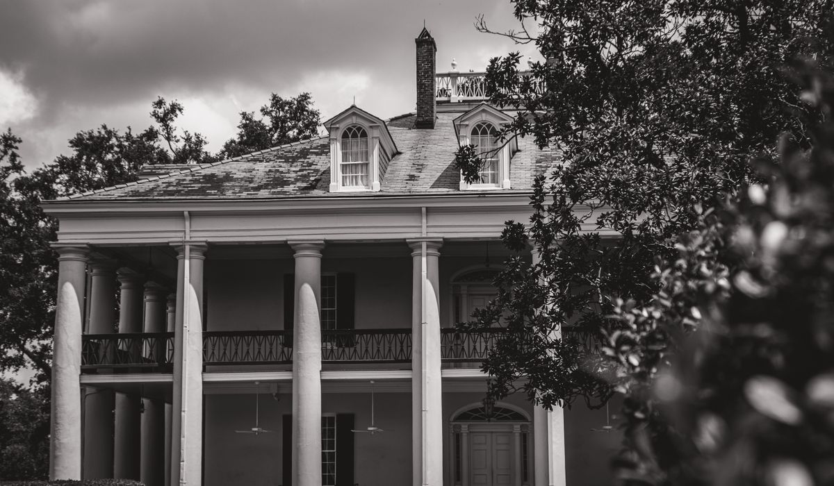 Mature oak trees along a historic colonial street in Lexington Massachusetts