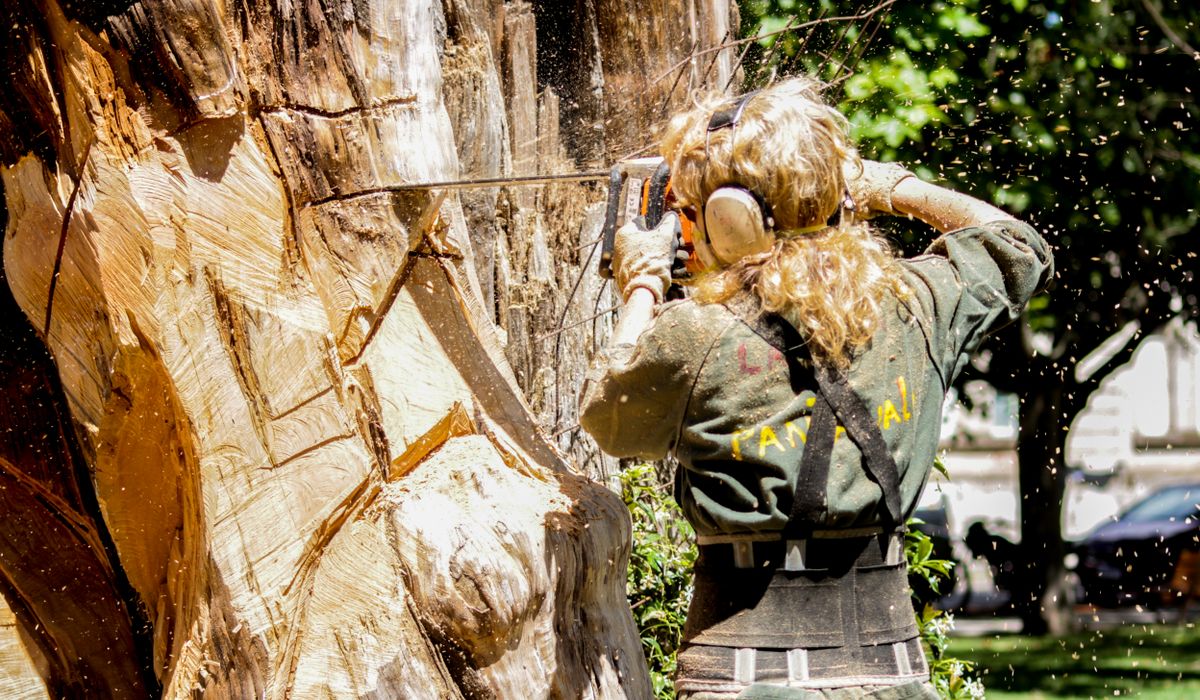 Arborist cutting a large oak with chainsaw during a residential tree removal