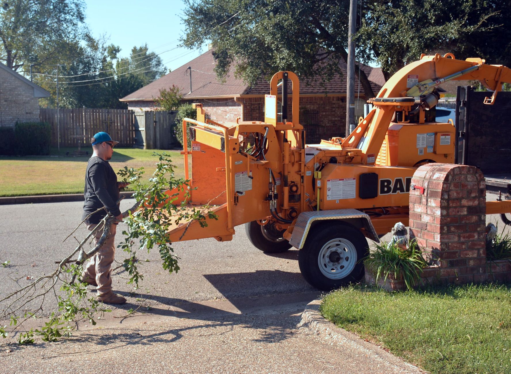 Arborist sectioning a large tree during a residential tree removal in Massachusetts