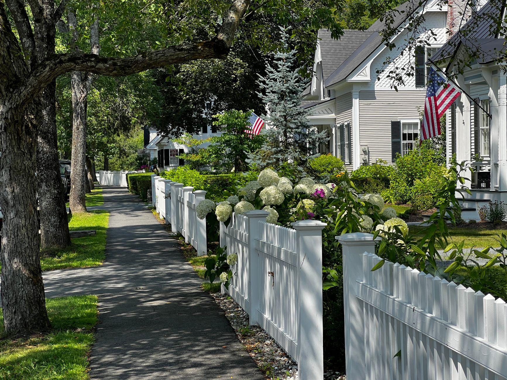 Wilmington MA suburban street lined with mature shade trees