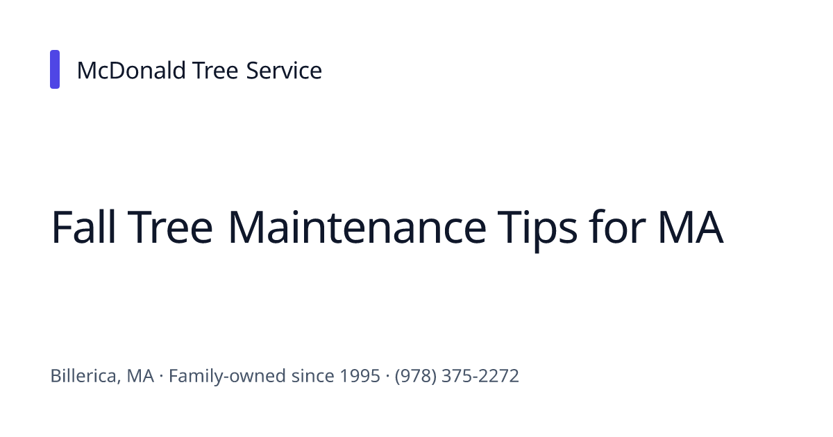 Fall Tree Maintenance Tips for MA | McDonald Tree Service