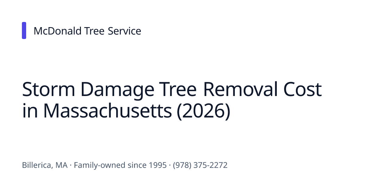 Storm Damage Tree Removal Cost in Massachusetts (2026) | McDonald Tree ...