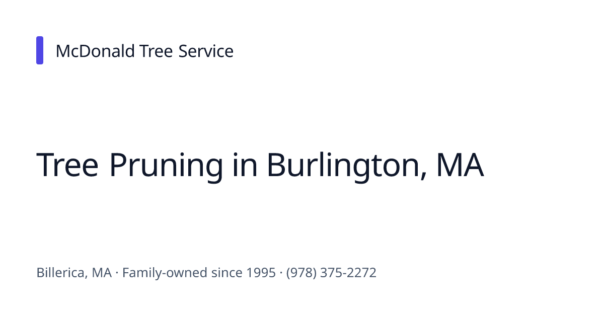 Tree Pruning in Burlington, MA | McDonald Tree Service